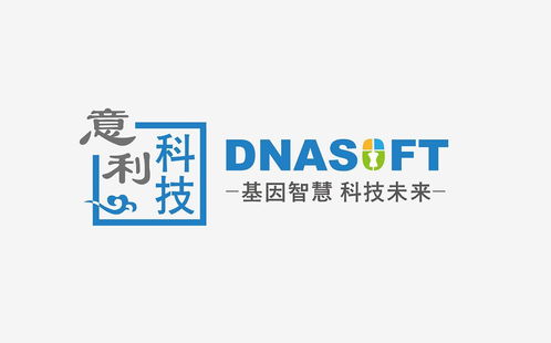 科技雙星 上海意利信息科技與鴻雀信息科技的創新之路